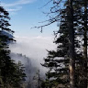 Meet your Posher, Ct